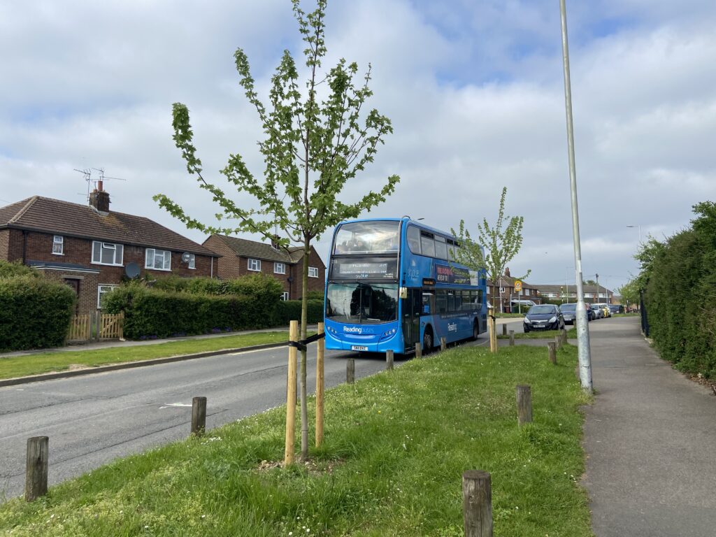 Macbeth's trees with a bus passing